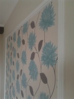 /album/galeria-de-fotos-galeria/a2013-12-27-14-40-24-jpg/